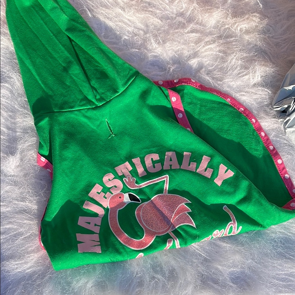 Green Majestically Flamingo Hoodie